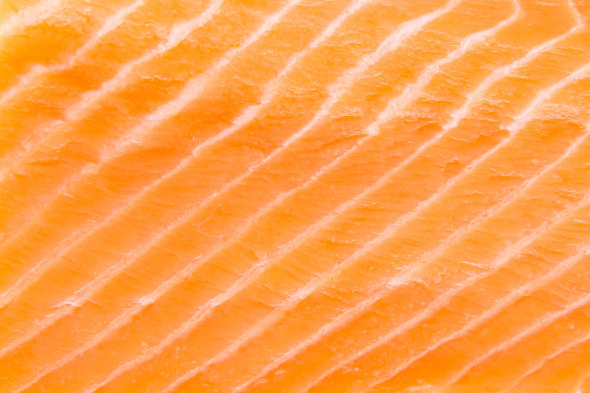 Close Up Salmon Fillet